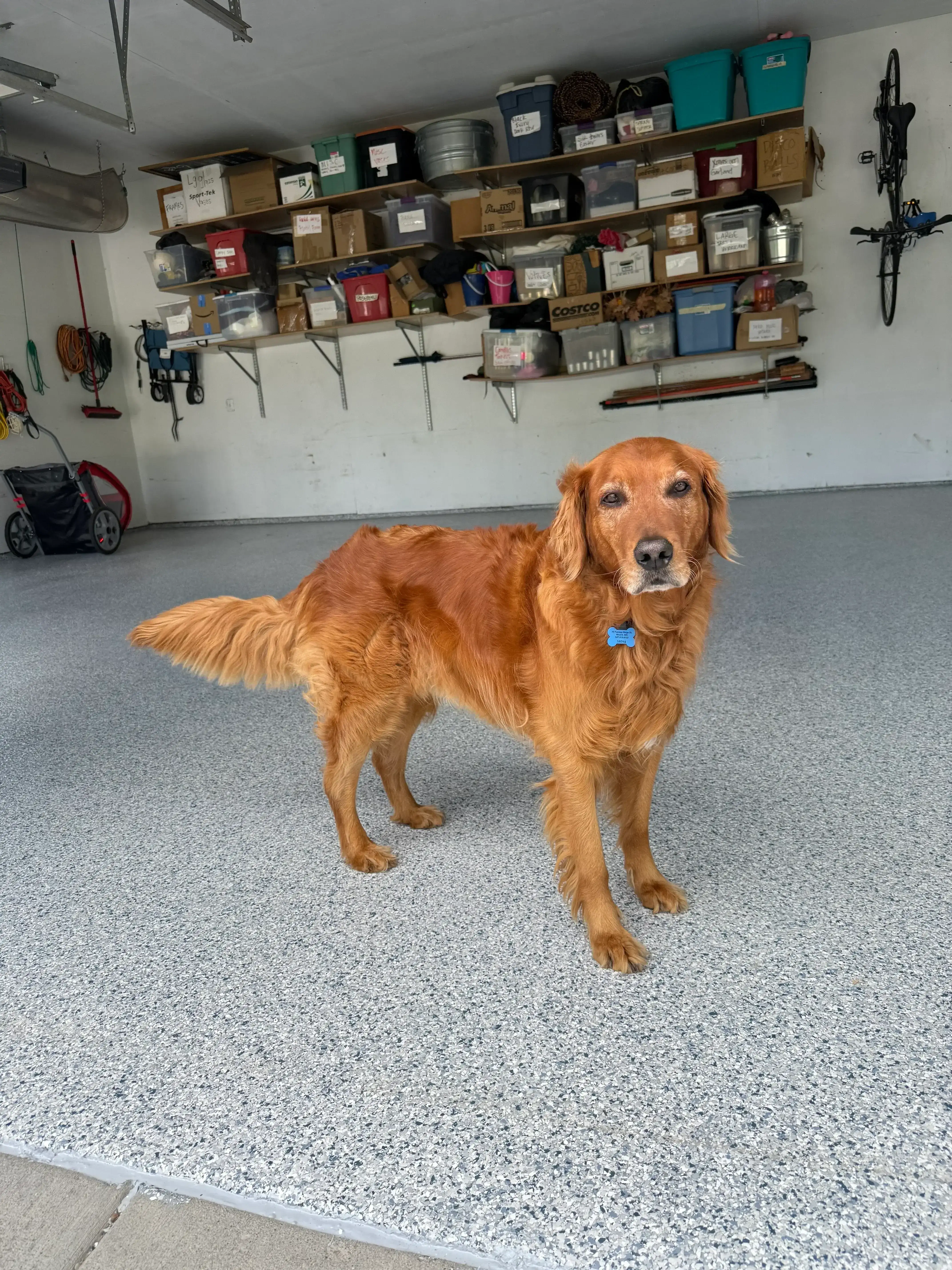 Commercial epoxy floor installation